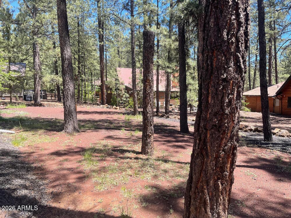 8239 BUCK SPRINGS Road, Pinetop, AZ 85935 — photo 3 of 25
