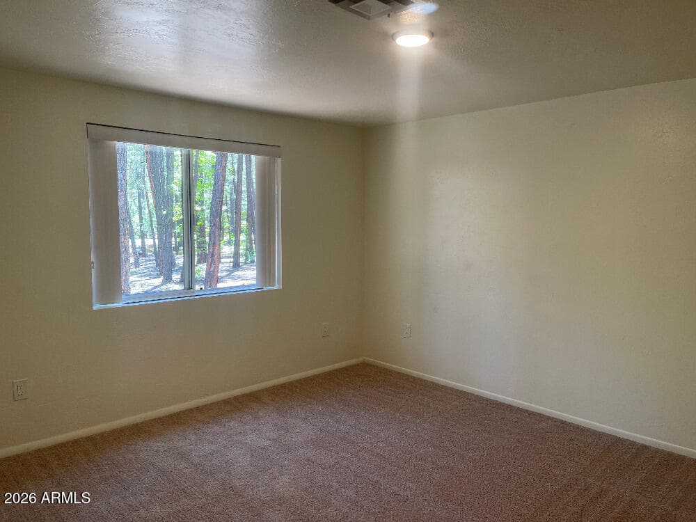 8239 BUCK SPRINGS Road, Pinetop, AZ 85935 — photo 21 of 25