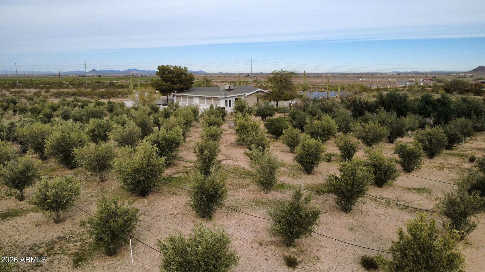 1081 W DANA Avenue, Florence, AZ 85132 — photo 40 of 57