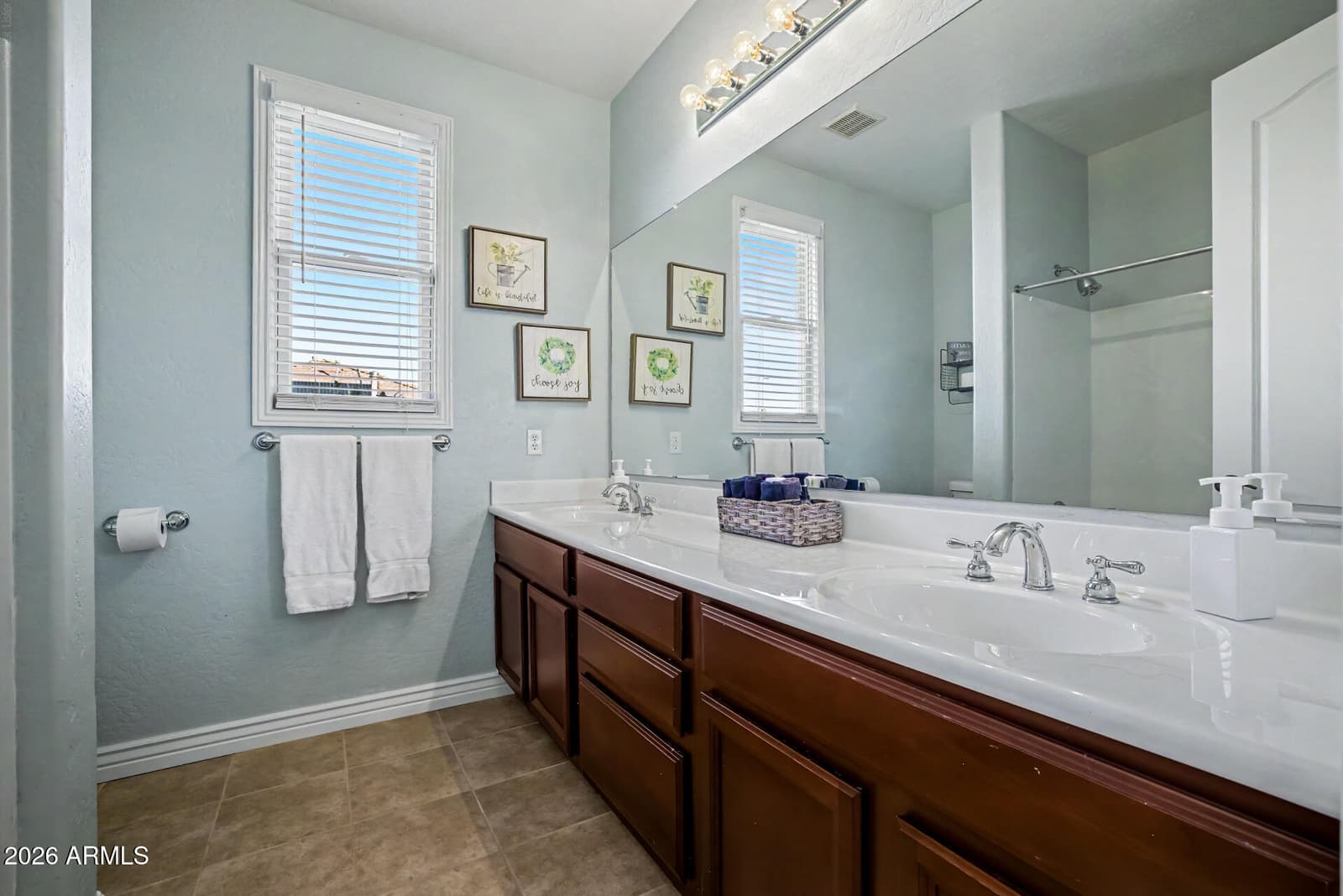 11533 N 150TH Lane, Surprise, AZ 85379 — photo 52 of 68