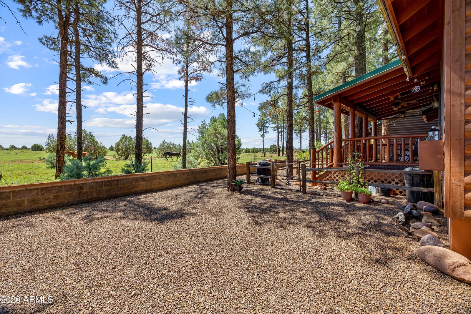 2715 HIGH PINE Loop, Overgaard, AZ 85933 — photo 26 of 50