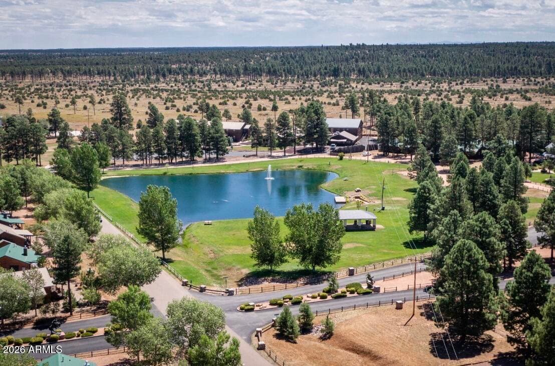 2715 HIGH PINE Loop, Overgaard, AZ 85933 — photo 45 of 50