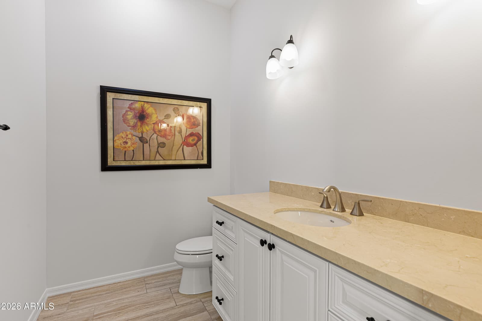 36813 N 109TH Way, Scottsdale, AZ 85262 — photo 56 of 65