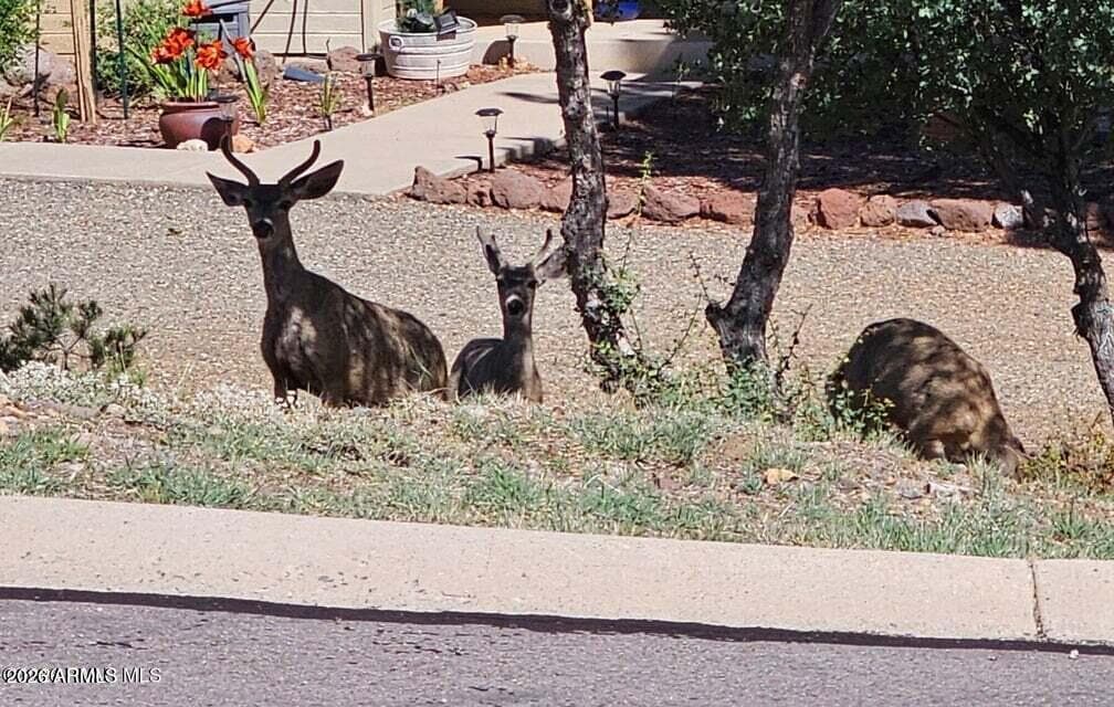 4996 CACTUS Place, Prescott, AZ 86301 — photo 26 of 35