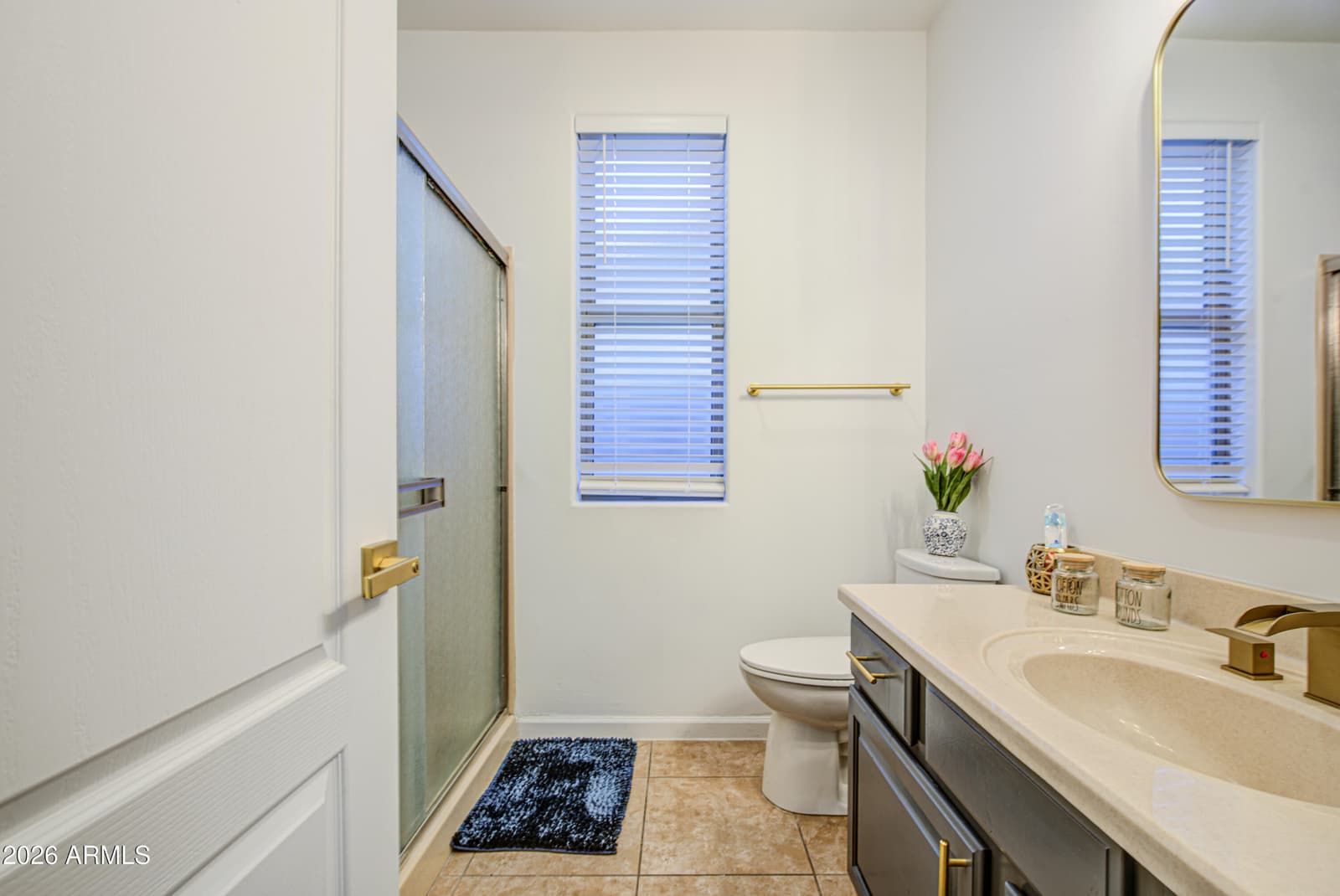 12551 W VISTA PASEO Drive, Litchfield Park, AZ 85340 — photo 42 of 80