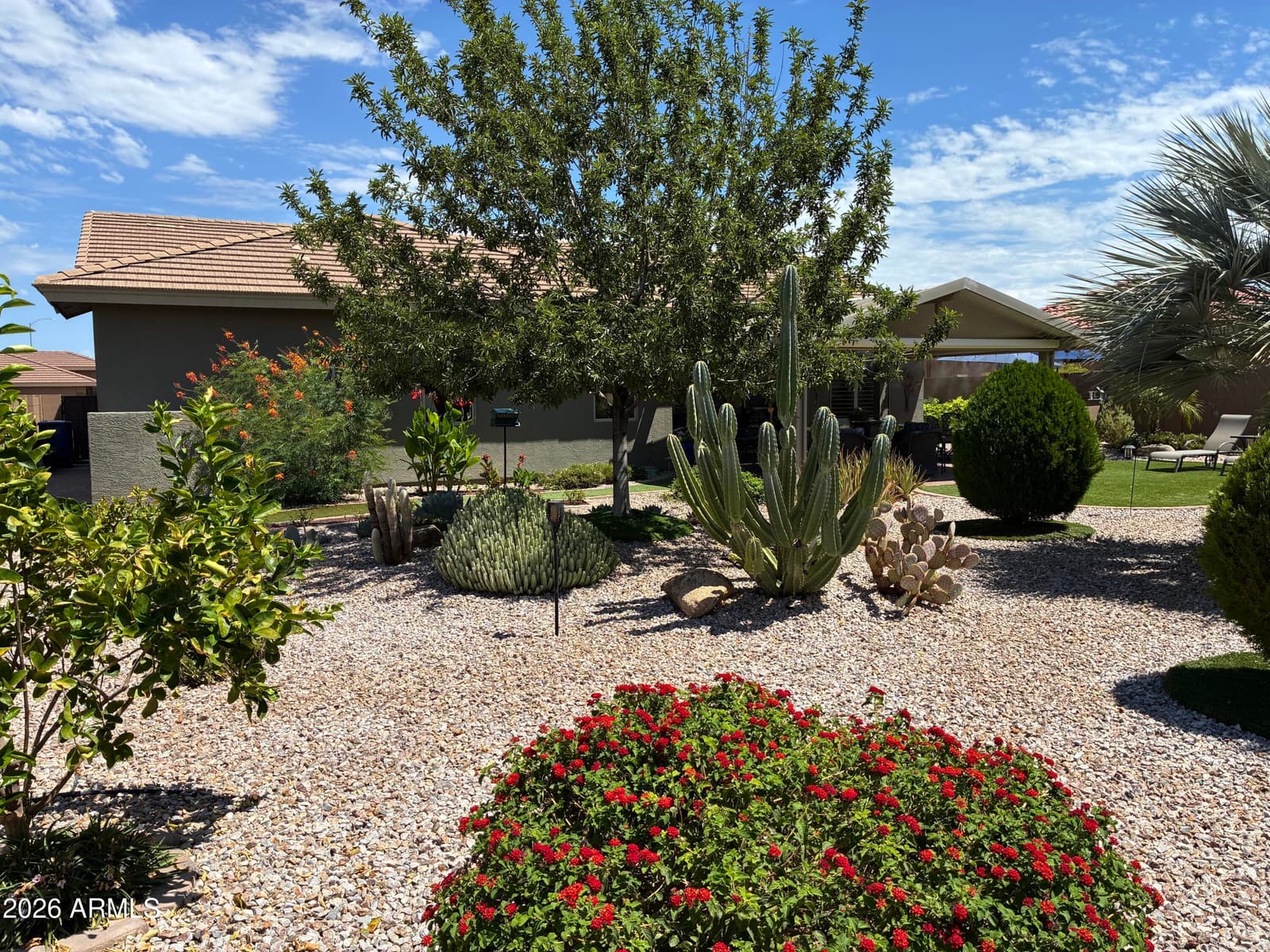11447 E NELL Avenue, Mesa, AZ 85209 — photo 47 of 63