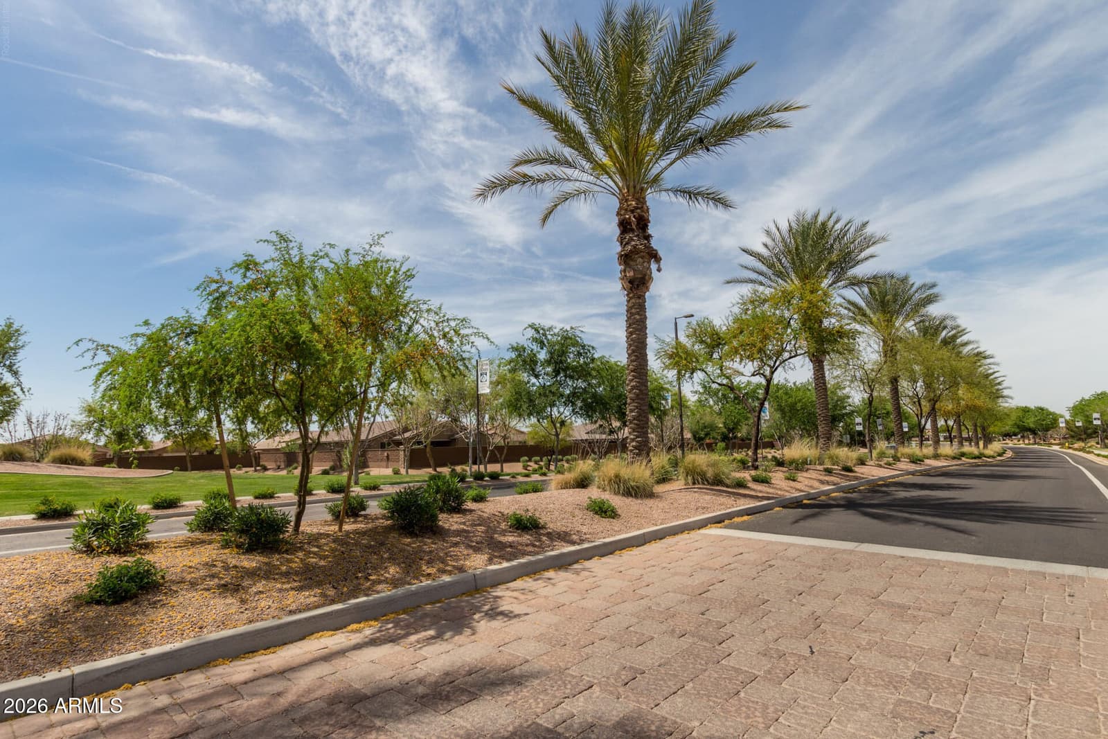 72 W DRAGON TREE Avenue, Queen Creek, AZ 85140 — photo 44 of 50