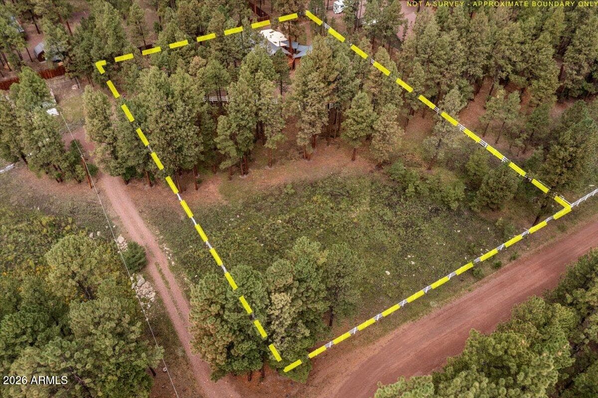 11 WHITETAIL Road, Alpine, AZ 85920 — photo 46 of 47