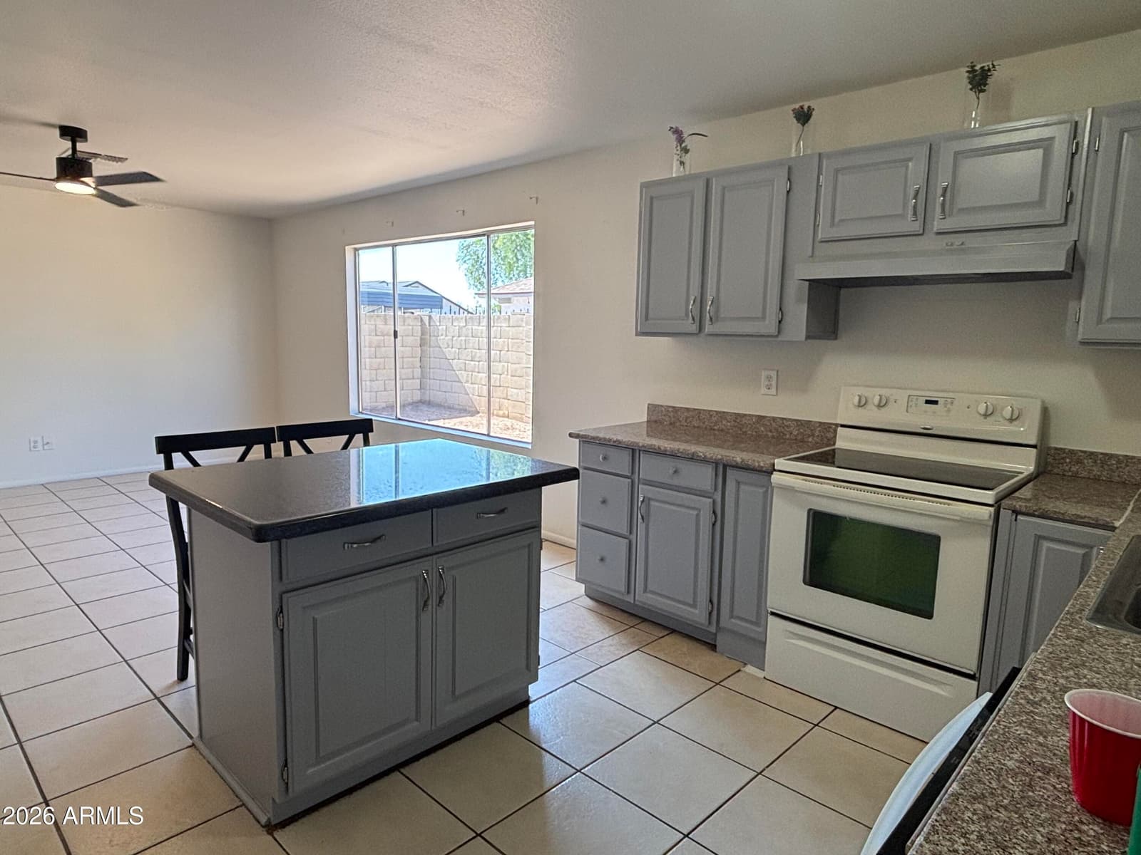 8901 N 86TH Drive, Peoria, AZ 85345 — photo 7 of 22