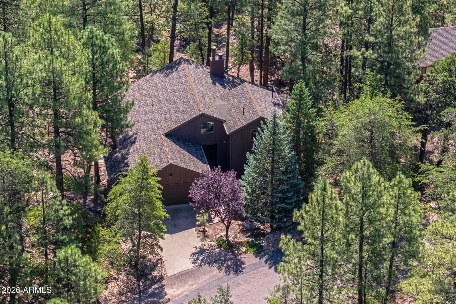 5189 N Juniper Loop, Pine, AZ 85544 — photo 2 of 45