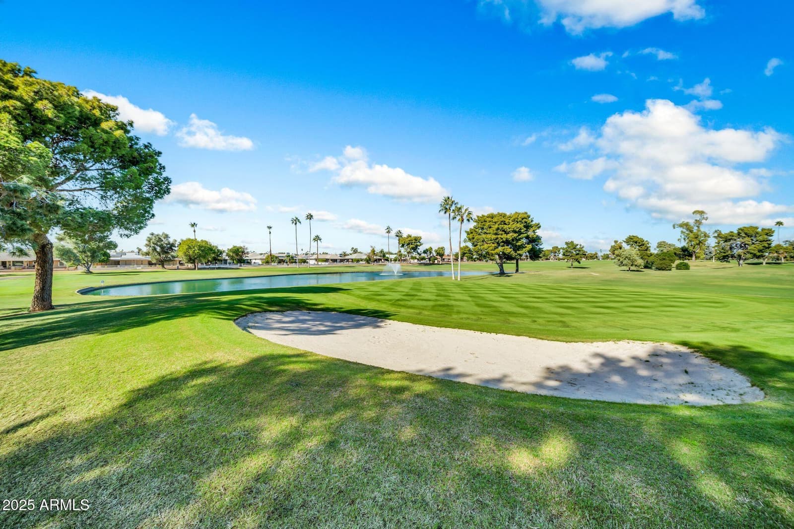 13006 W DESERT GLEN Drive, Sun City West, AZ 85375 — photo 46 of 67