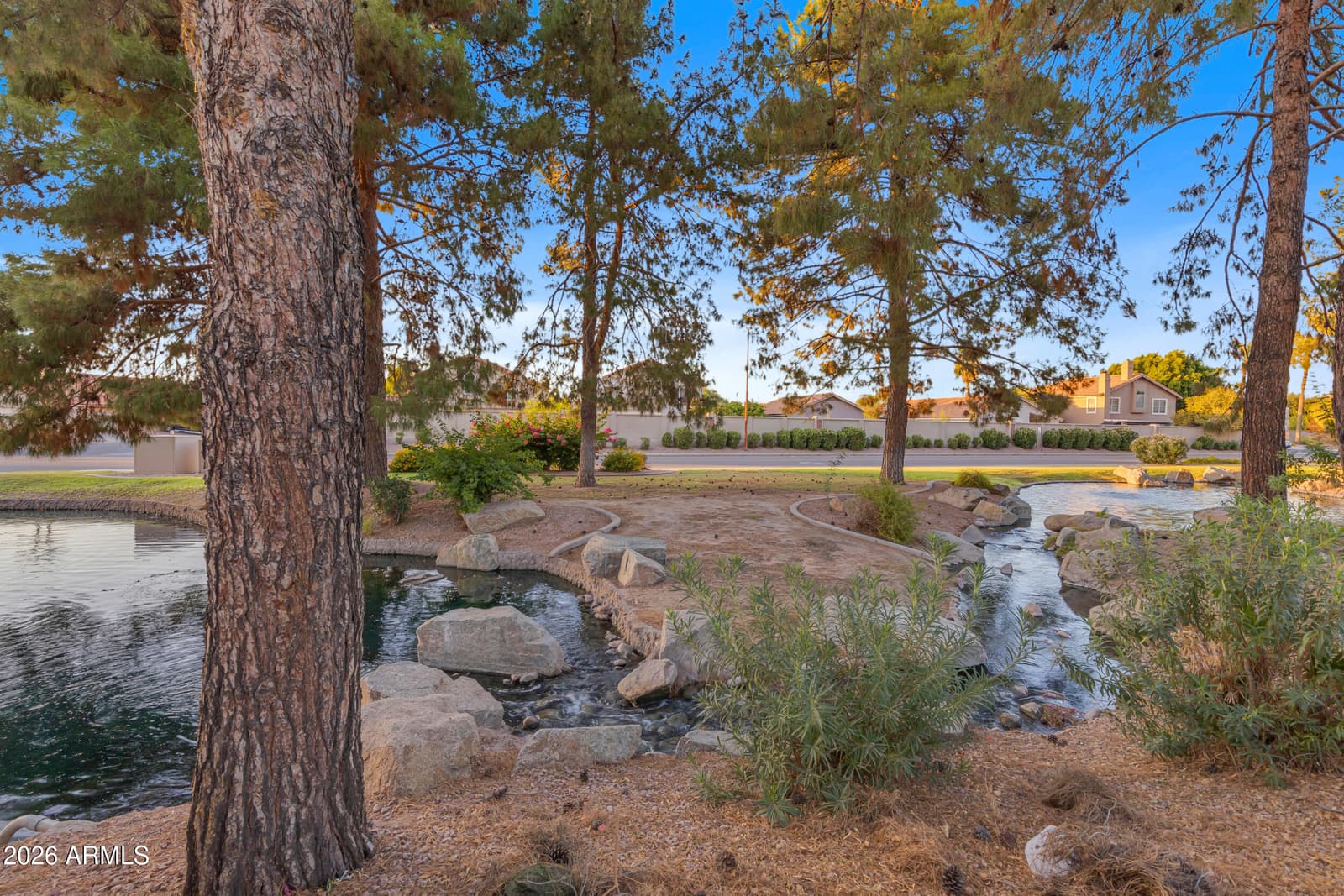 1517 S ASH Drive, Chandler, AZ 85286 — photo 63 of 77