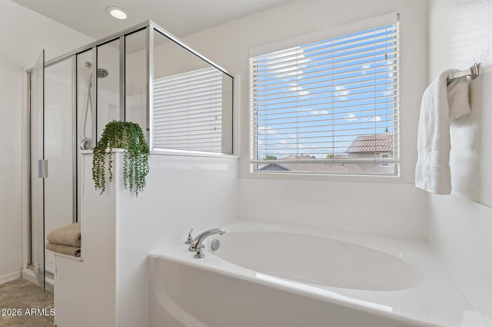 12018 W OVERLIN Lane, Avondale, AZ 85323 — photo 27 of 42