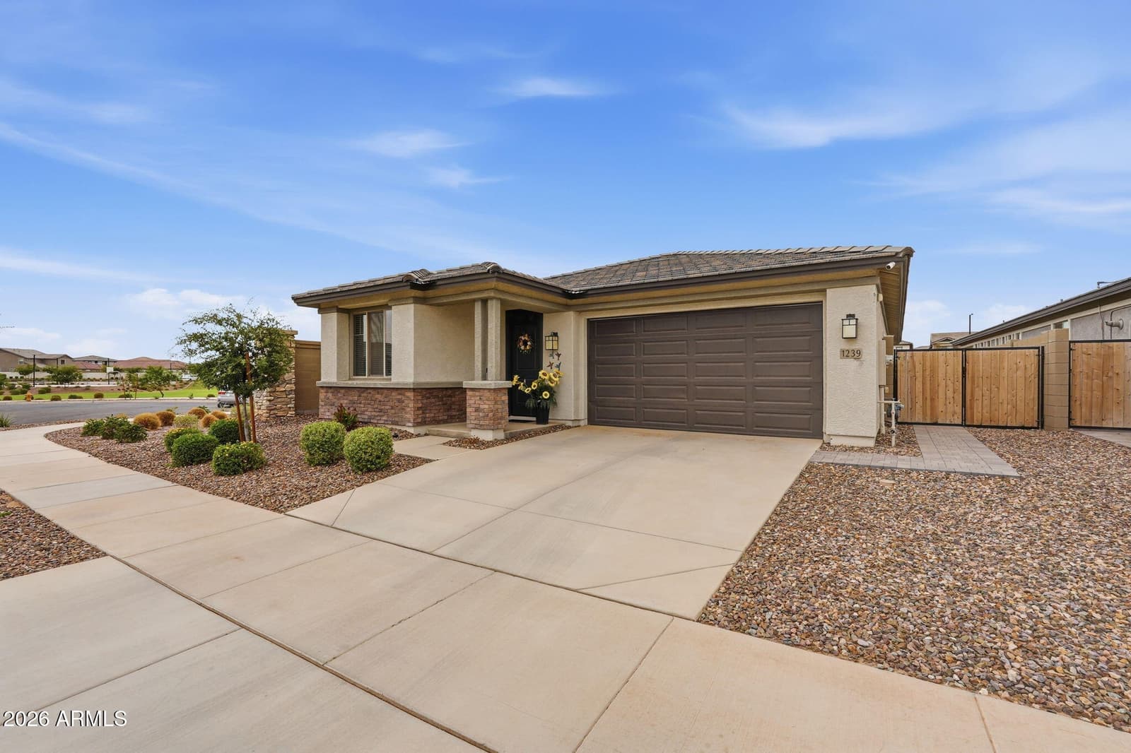 1239 W MACAW Court, Queen Creek, AZ 85140 — photo 1 of 47