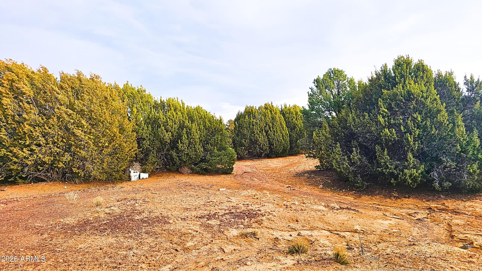 55 N COUNTRY Lane, Concho, AZ 85924 — photo 25 of 26