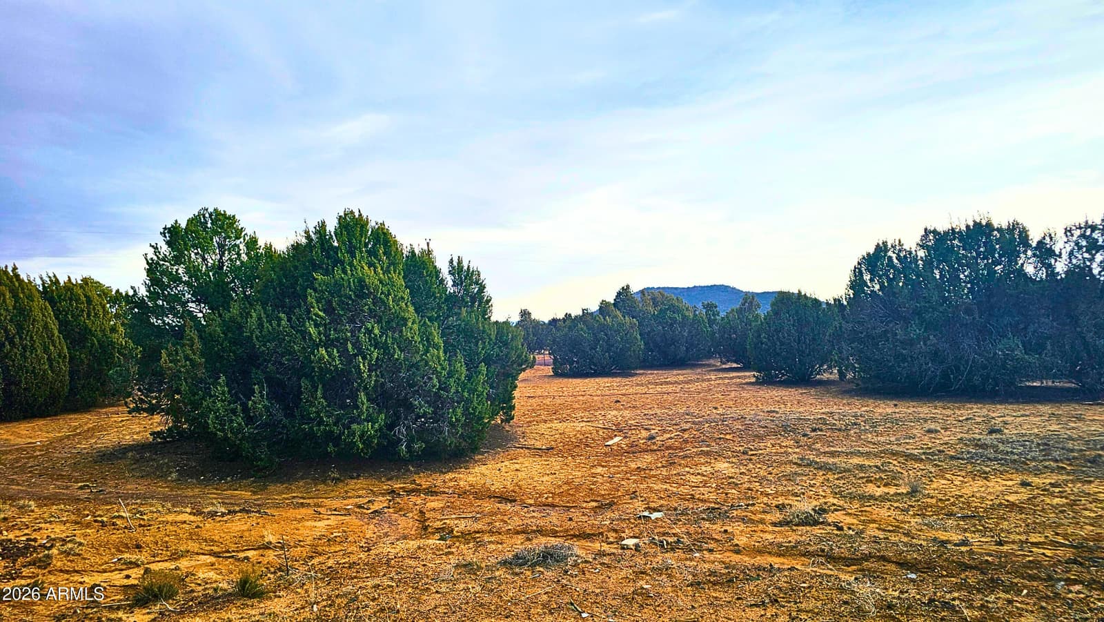 55 N COUNTRY Lane, Concho, AZ 85924 — photo 26 of 26