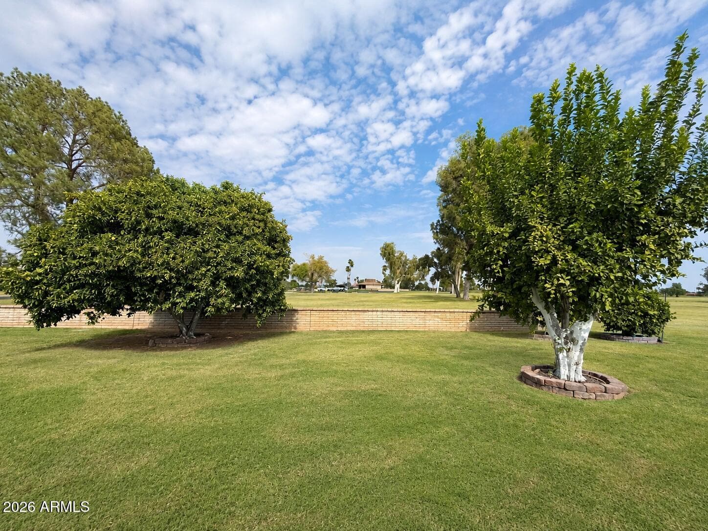 10542 W TROPICANA Circle, Sun City, AZ 85351 — photo 5 of 26