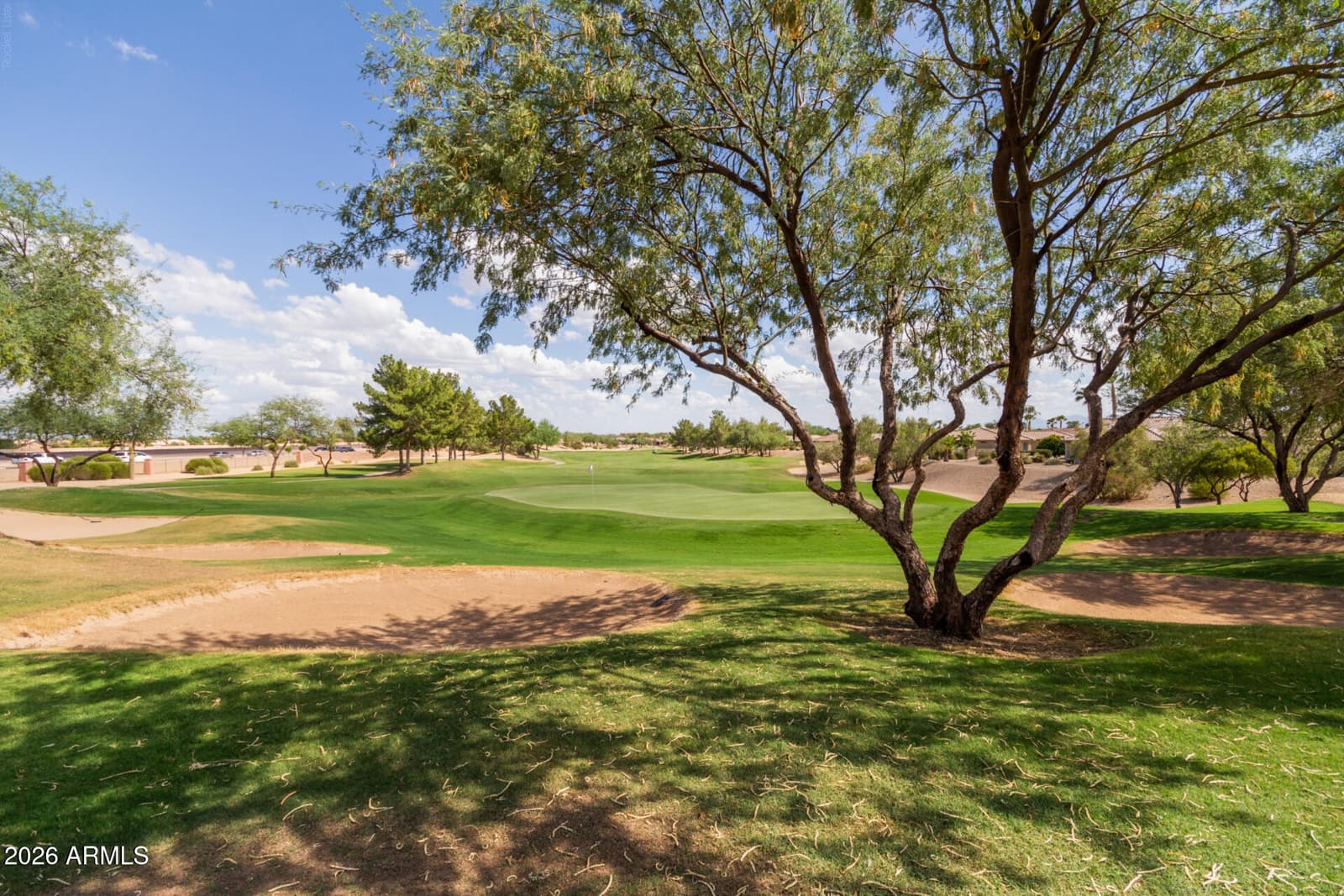 16492 W CHUPAROSA Lane, Surprise, AZ 85387 — photo 35 of 42