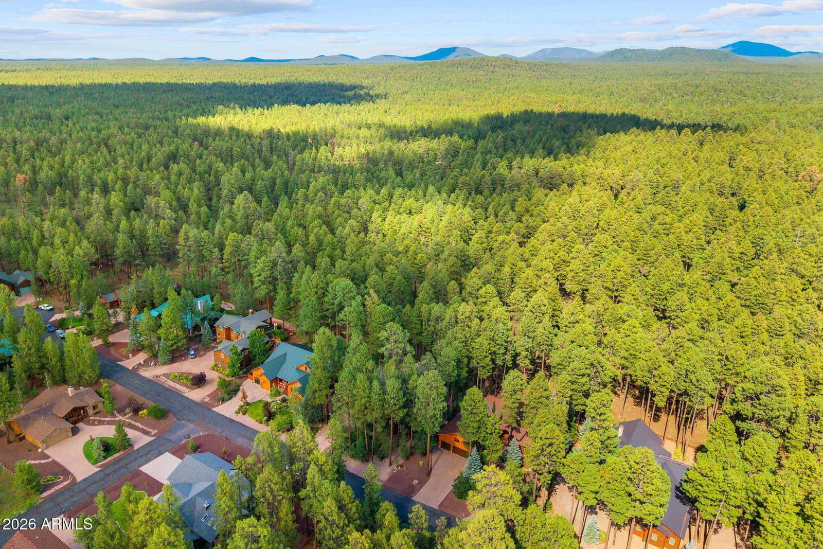 8829 Country Club Drive, Pinetop, AZ 85935 — photo 66 of 82