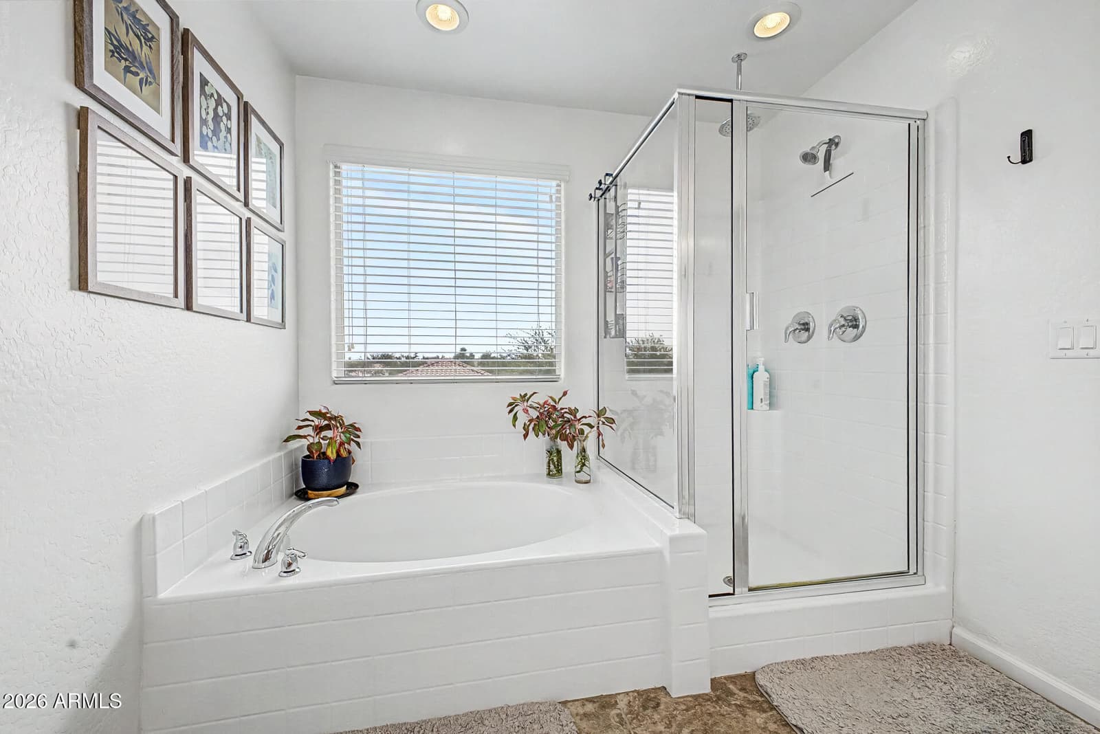 7629 W FETLOCK Trail, Peoria, AZ 85383 — photo 19 of 56