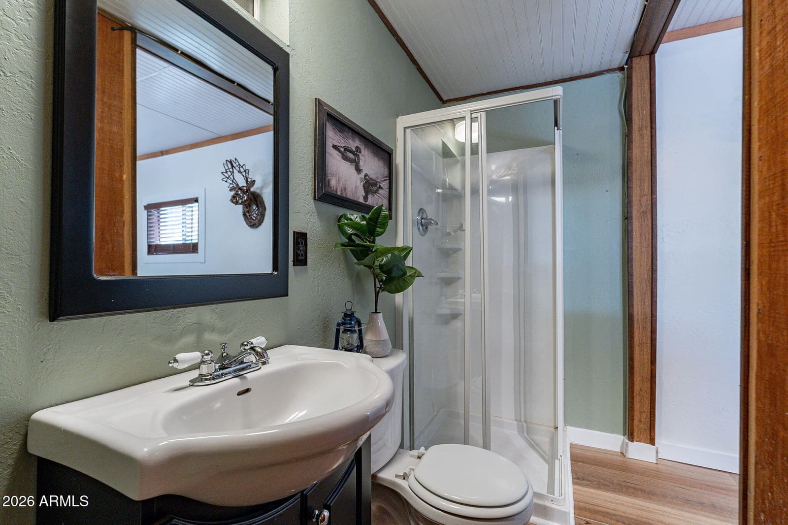 8397 W TURKEY RUN Drive, Strawberry, AZ 85544 — photo 43 of 80