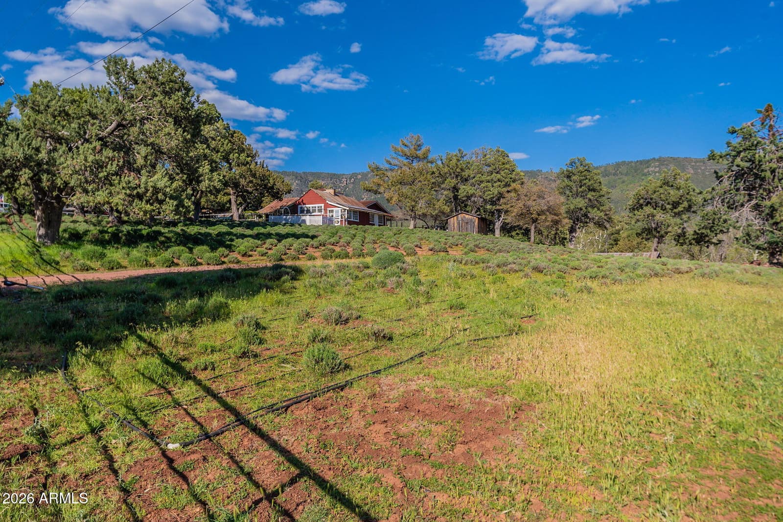 8397 W TURKEY RUN Drive, Strawberry, AZ 85544 — photo 62 of 80