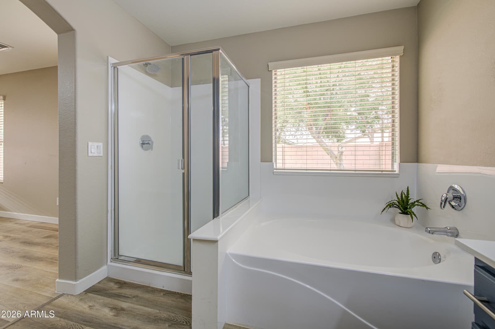 15668 W SAGUARO Lane, Surprise, AZ 85374 — photo 20 of 36