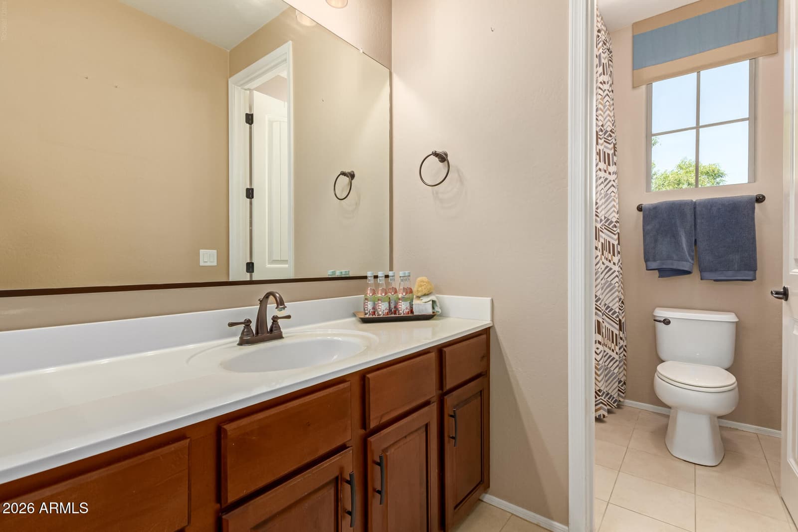 20697 W DELANEY Drive, Buckeye, AZ 85396 — photo 33 of 57