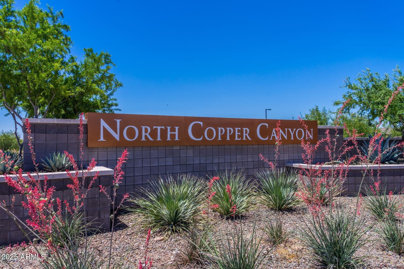 17371 W VILLA HERMOSA Lane, Surprise, AZ 85387 — photo 43 of 47