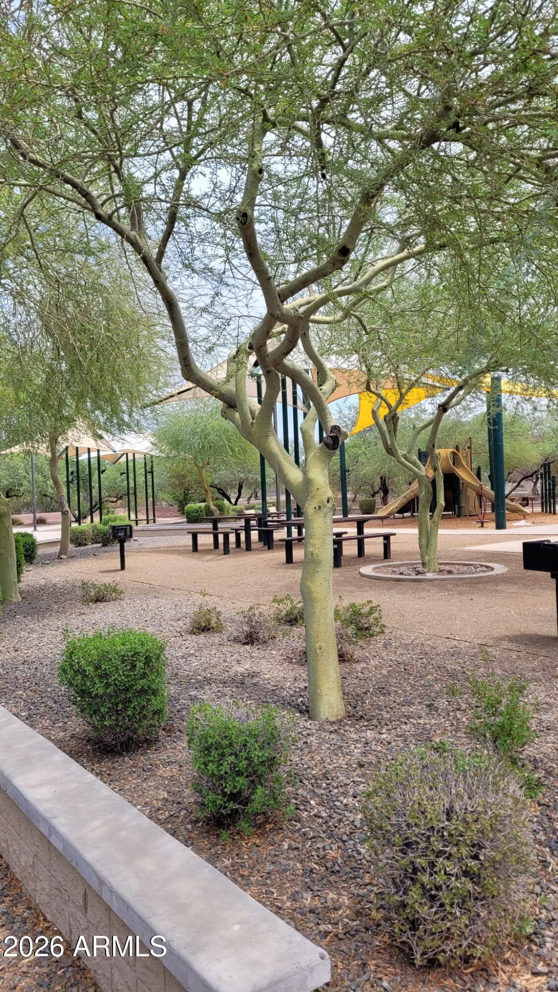 29682 N 69TH Lane, Peoria, AZ 85383 — photo 38 of 50