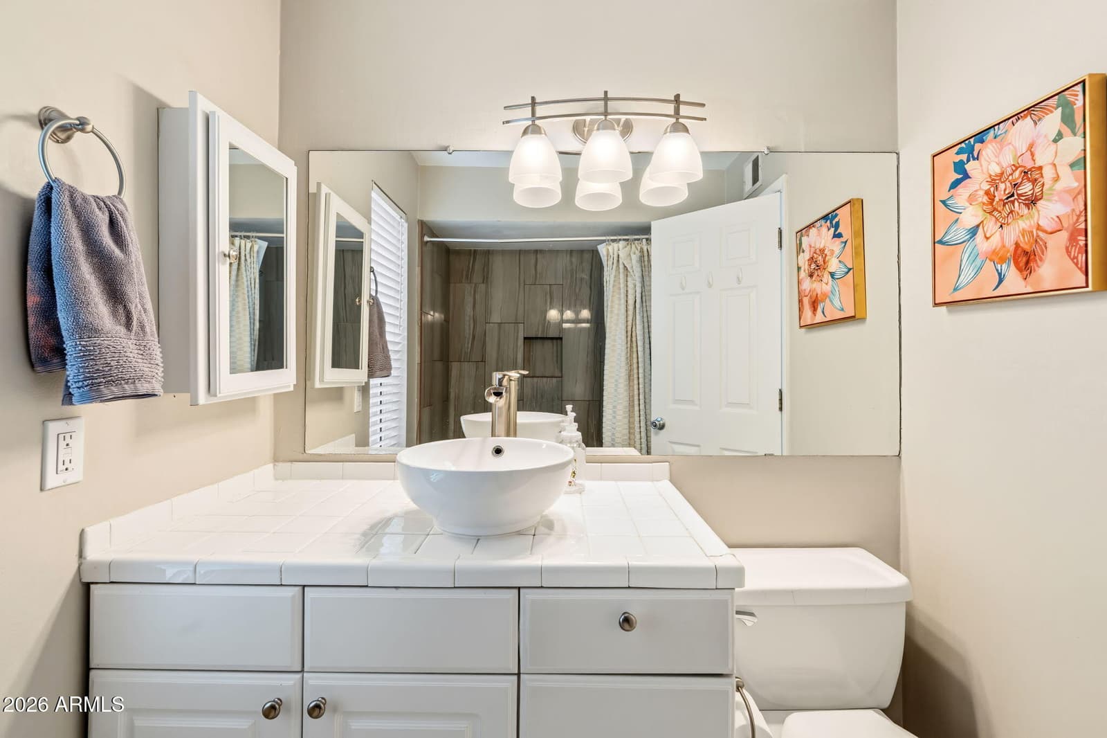 8805 S 48TH Street 1, Phoenix, AZ 85044 — photo 17 of 29