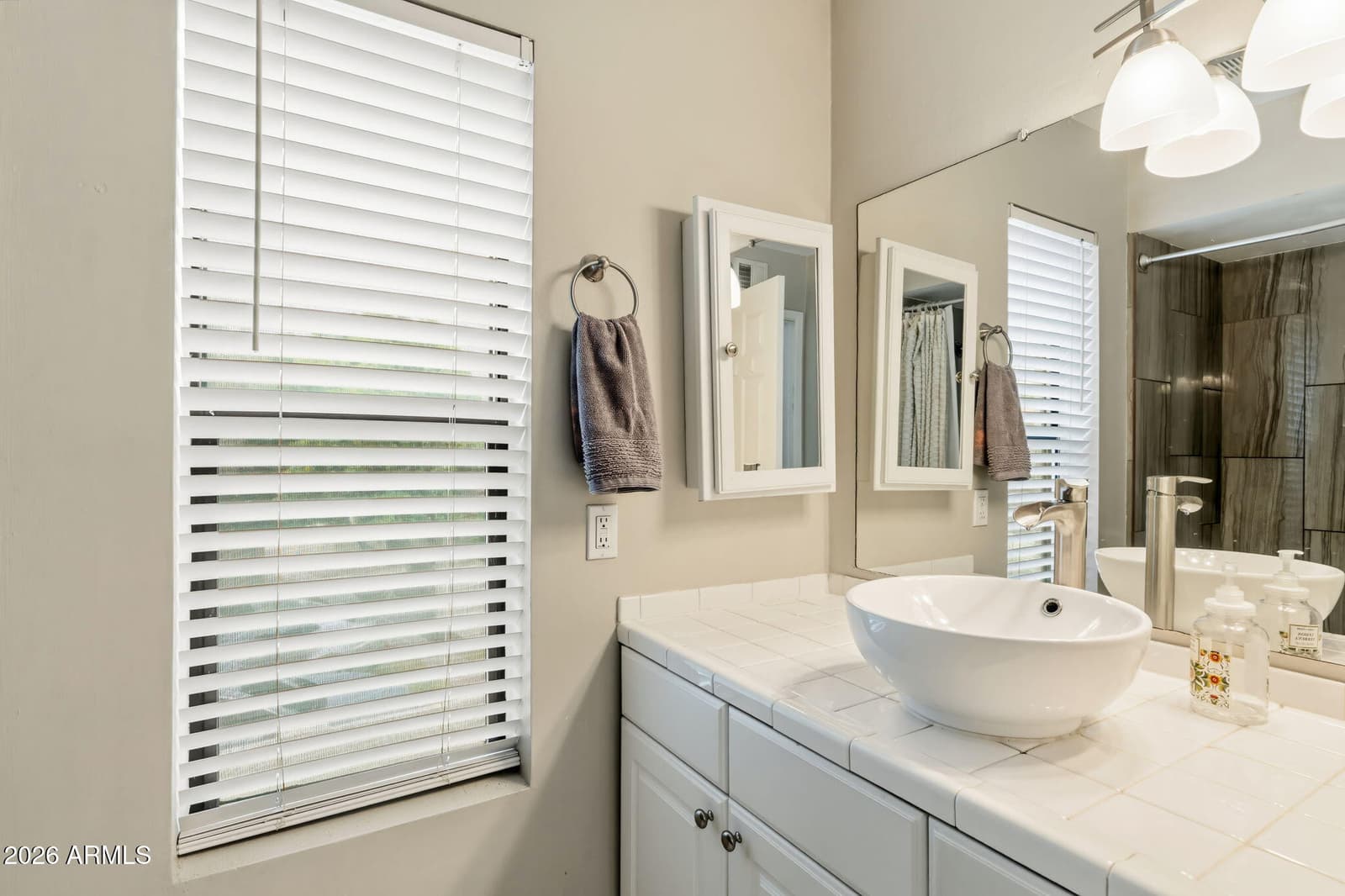 8805 S 48TH Street 1, Phoenix, AZ 85044 — photo 16 of 29
