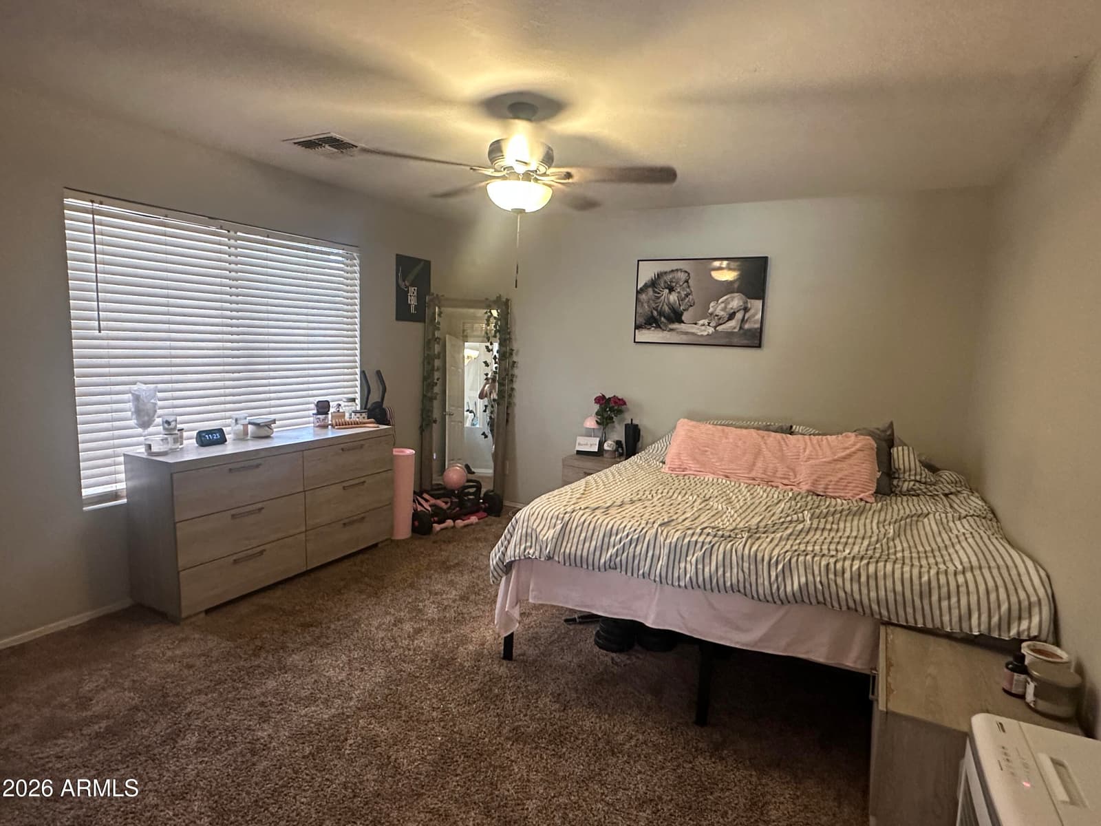 14001 N 127TH Lane, El Mirage, AZ 85335 — photo 6 of 19