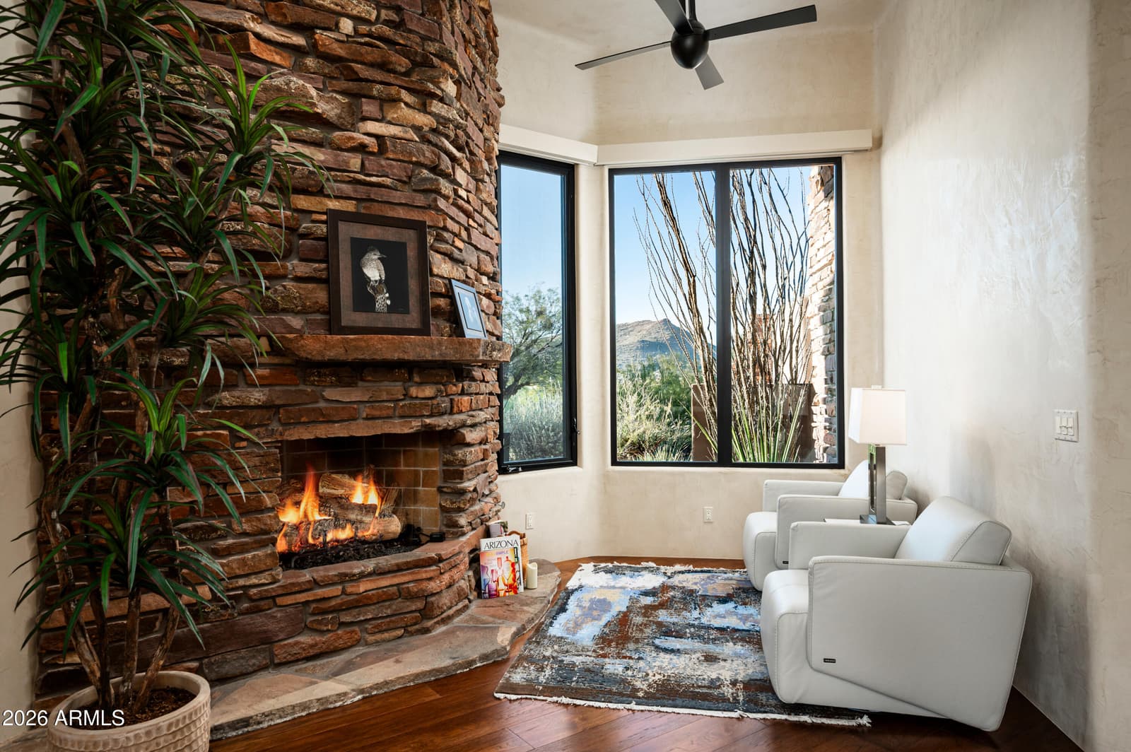 10047 E SCOPA Trail, Scottsdale, AZ 85262 — photo 23 of 52