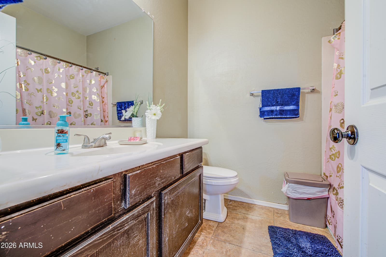 2434 N 120TH Drive, Avondale, AZ 85392 — photo 42 of 53