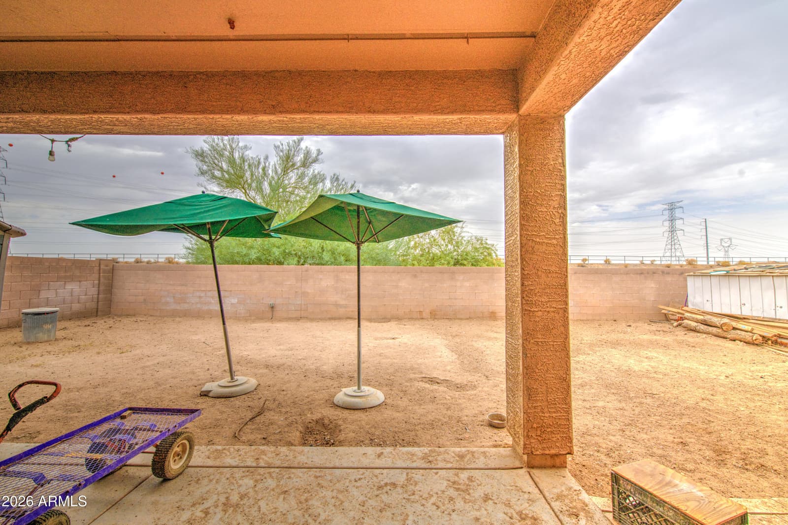 2434 N 120TH Drive, Avondale, AZ 85392 — photo 47 of 53