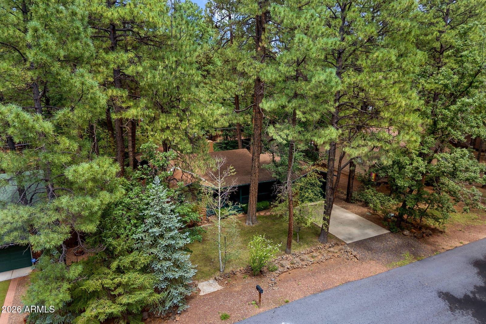 6048 PITCH FORK Lane, Pinetop, AZ 85935 — photo 29 of 31