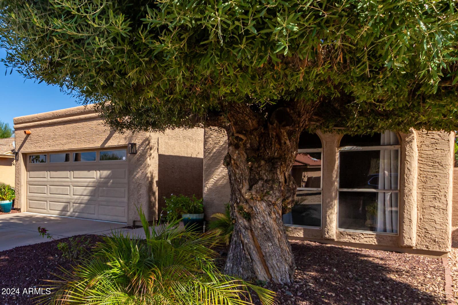 26437 S SEDONA Drive, Sun Lakes, AZ 85248 — photo 6 of 24