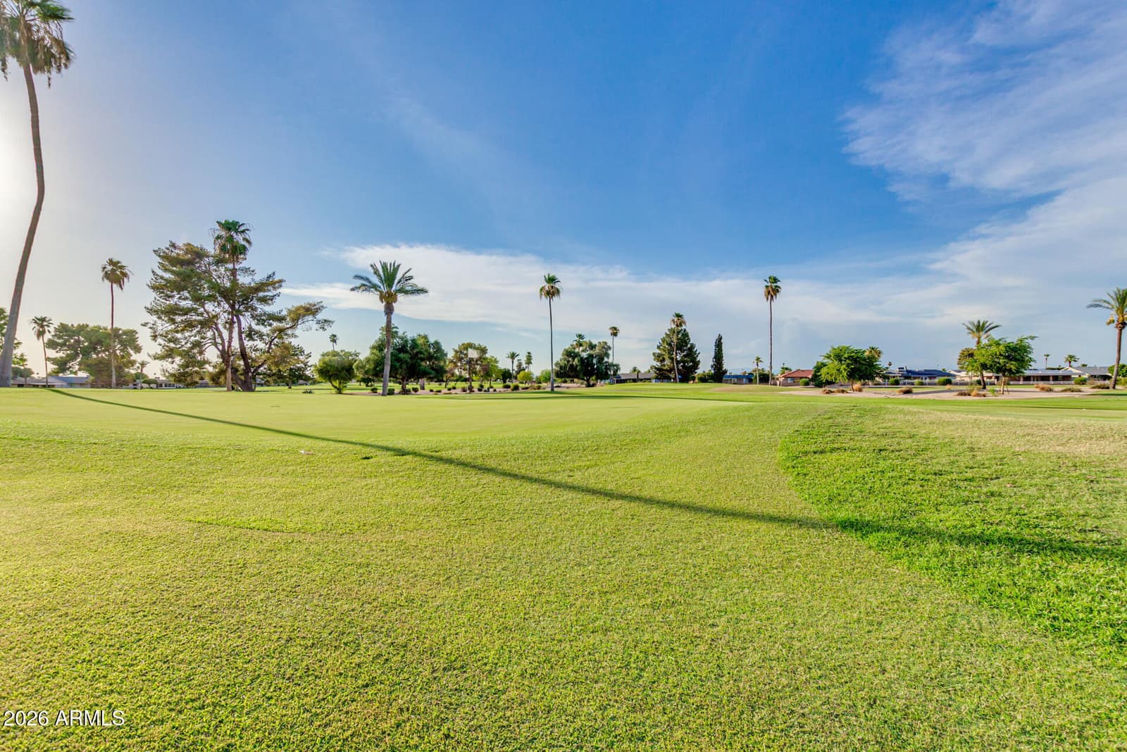 14023 N NEWCASTLE Drive, Sun City, AZ 85351 — photo 49 of 60