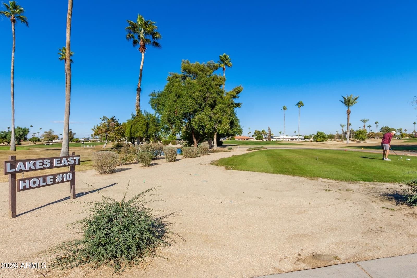14023 N NEWCASTLE Drive, Sun City, AZ 85351 — photo 59 of 60