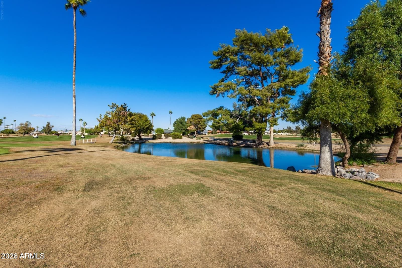 14023 N NEWCASTLE Drive, Sun City, AZ 85351 — photo 60 of 60