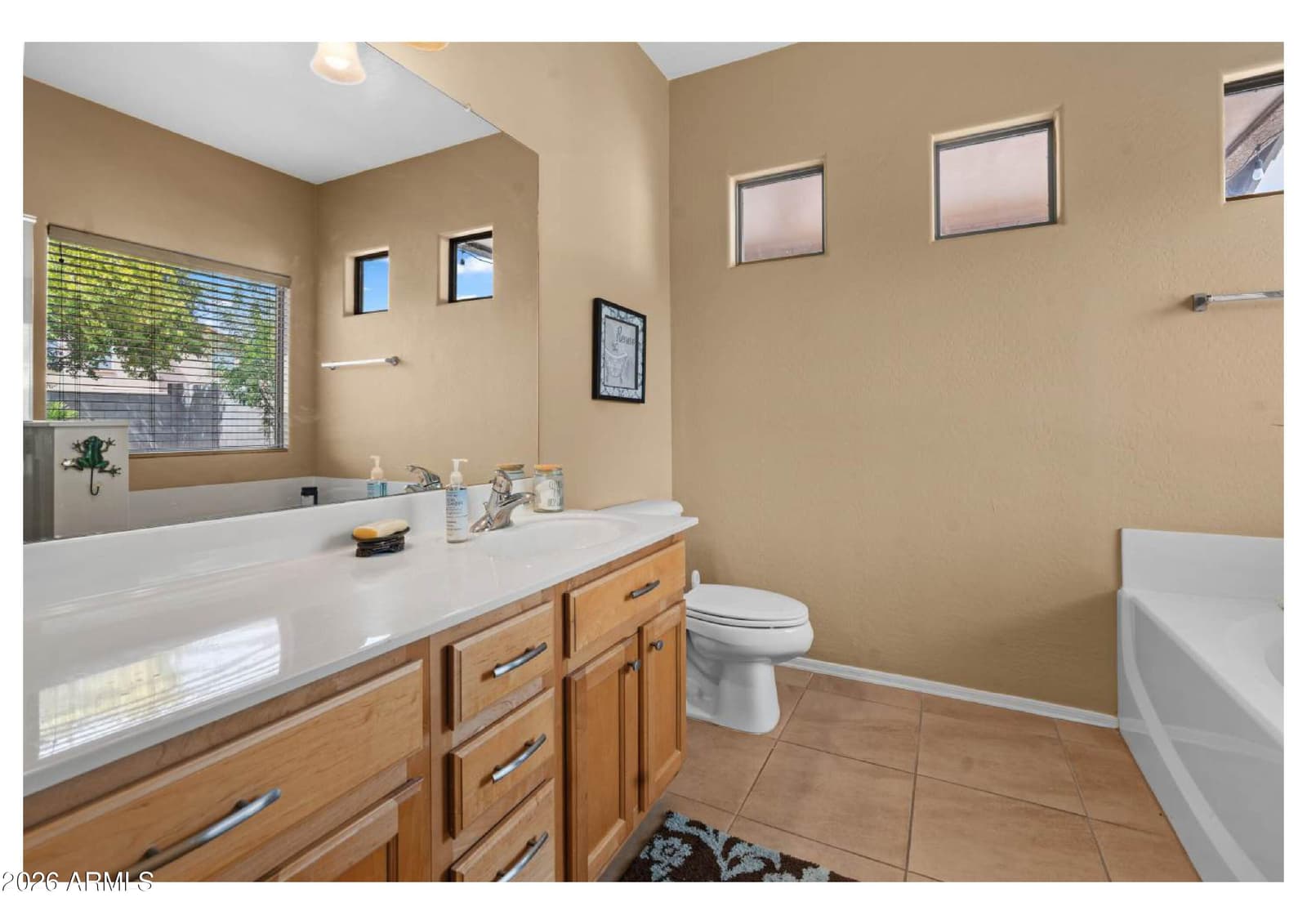 98 W DESERT VISTA Trail, San Tan Valley, AZ 85143 — photo 15 of 31
