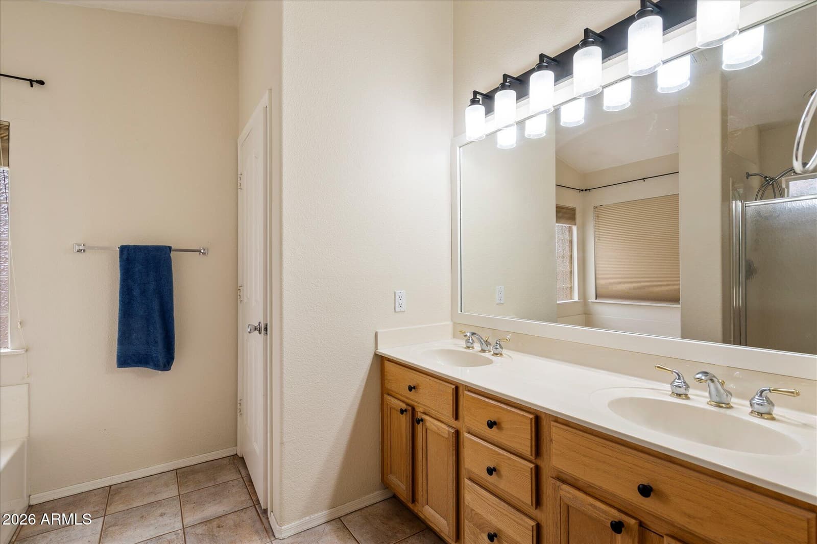 243 W BAYLOR Lane, Gilbert, AZ 85233 — photo 12 of 24