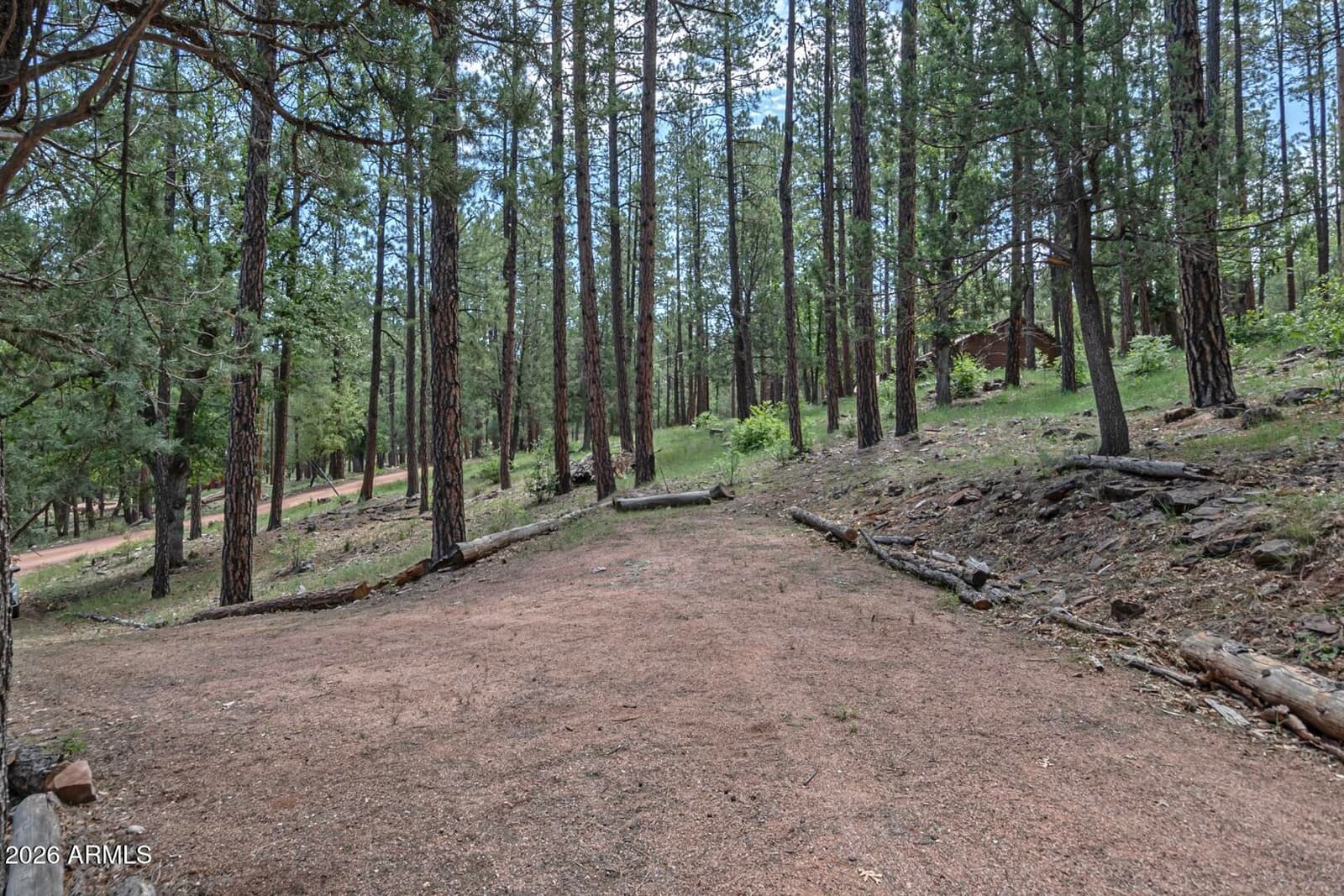 559 W DIAMOND Loop, Payson, AZ 85541 — photo 33 of 35