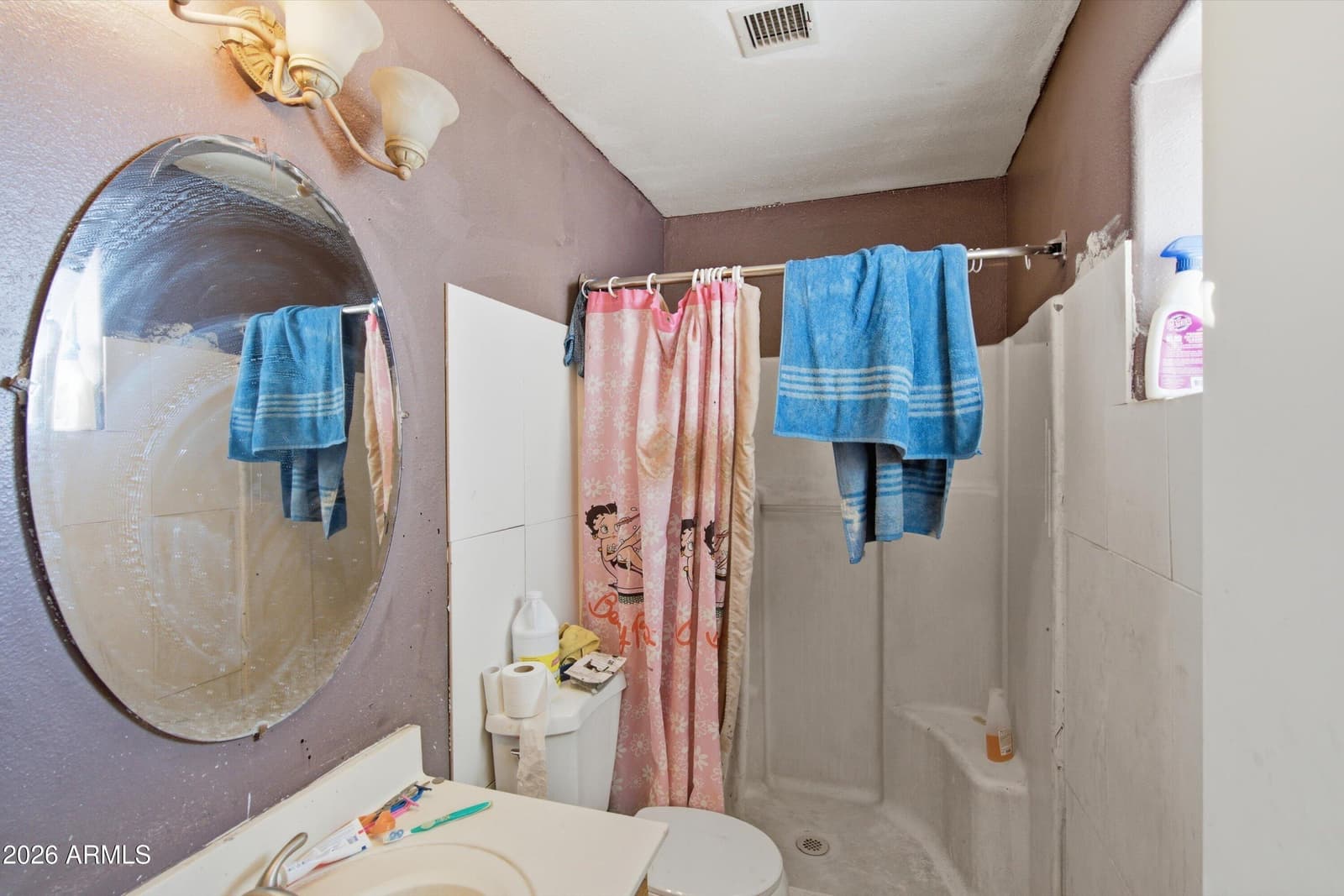 413 S 107TH Street, Mesa, AZ 85208 — photo 12 of 18