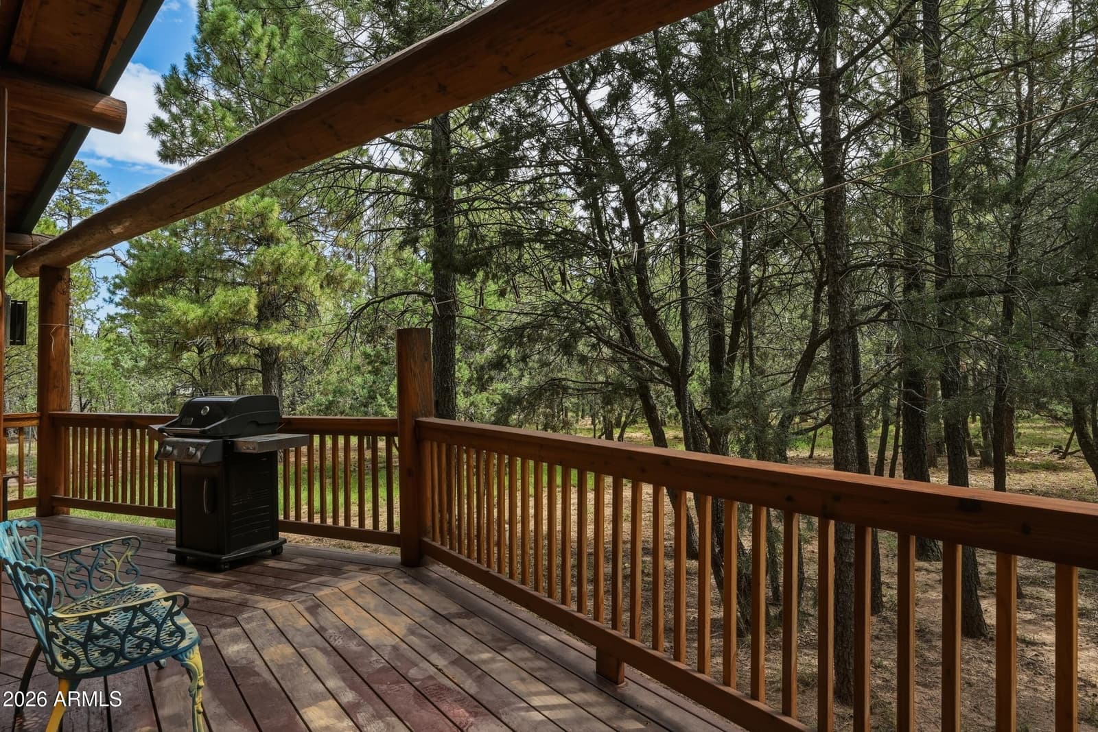 1741 GREEN TOP Drive, Happy Jack, AZ 86024 — photo 31 of 42