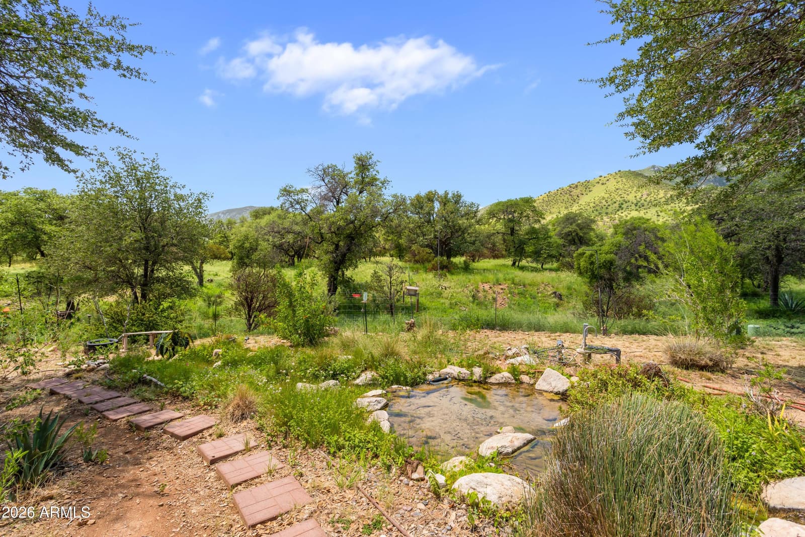 5108 E DEAD BEAR DRAW, Hereford, AZ 85615 — photo 41 of 64