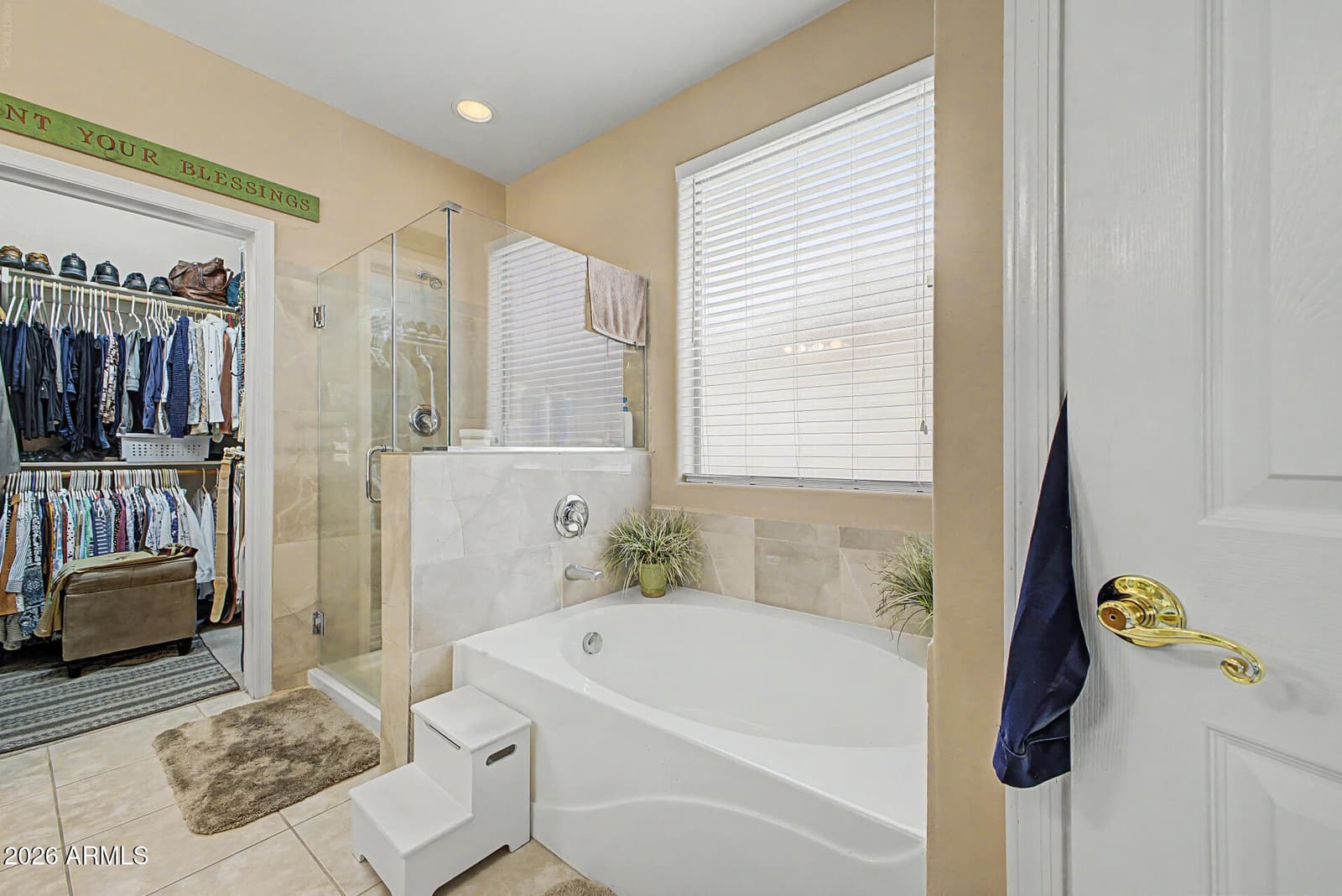 43186 W LINDGREN Drive, Maricopa, AZ 85138 — photo 20 of 31