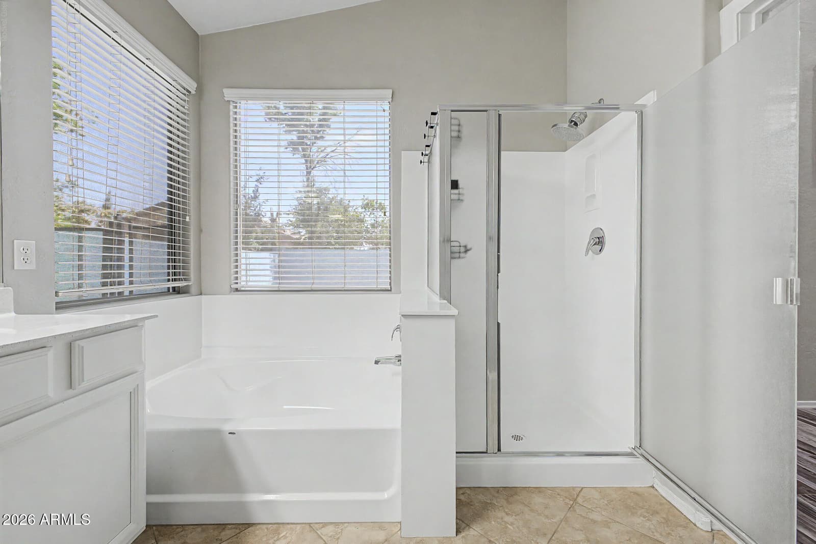 3053 E BLUEBIRD Place, Chandler, AZ 85286 — photo 19 of 29