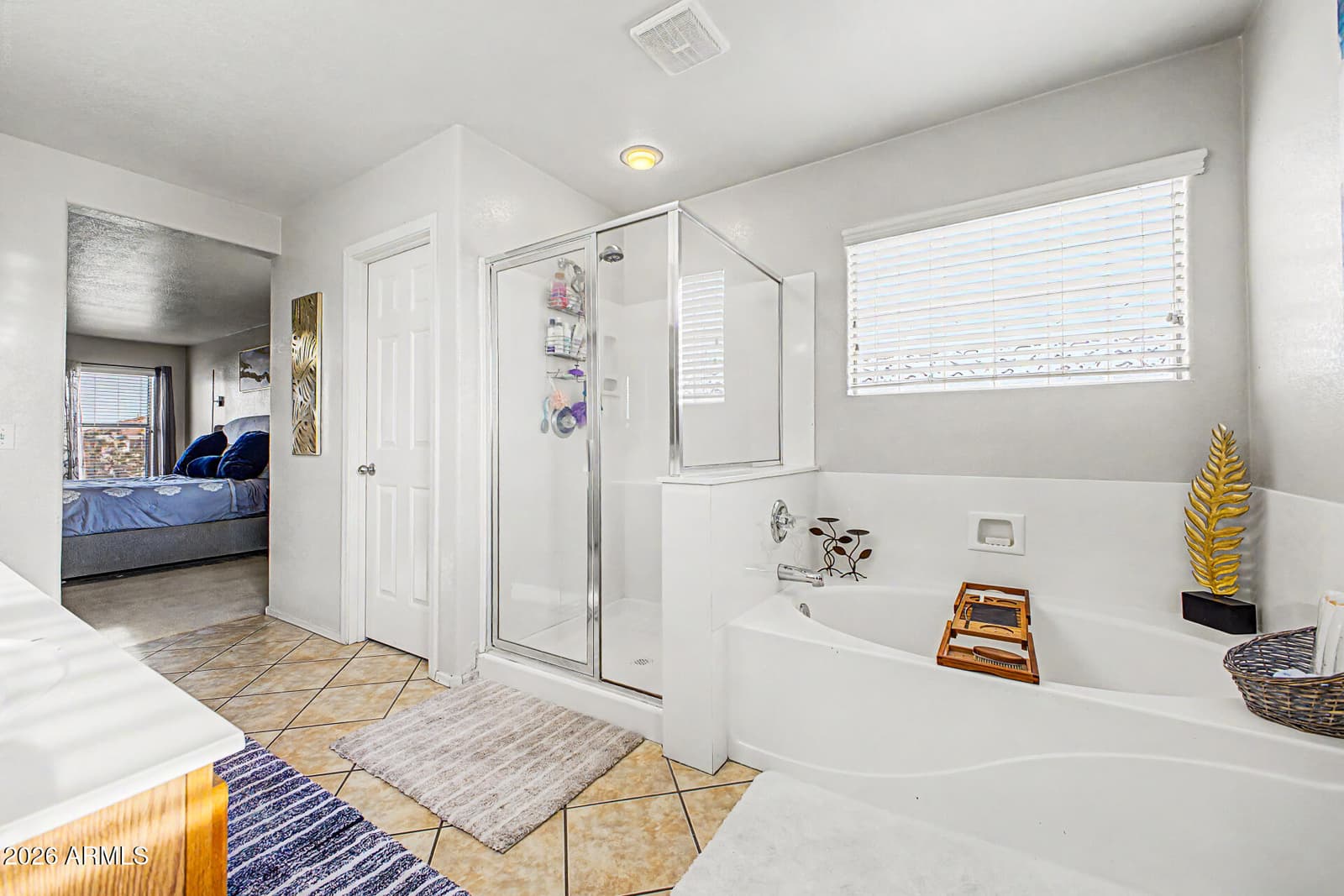 14131 N 135TH Lane, Surprise, AZ 85379 — photo 40 of 64